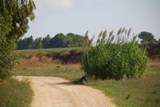 Clicca qui per vedere l'immagine in dettaglio